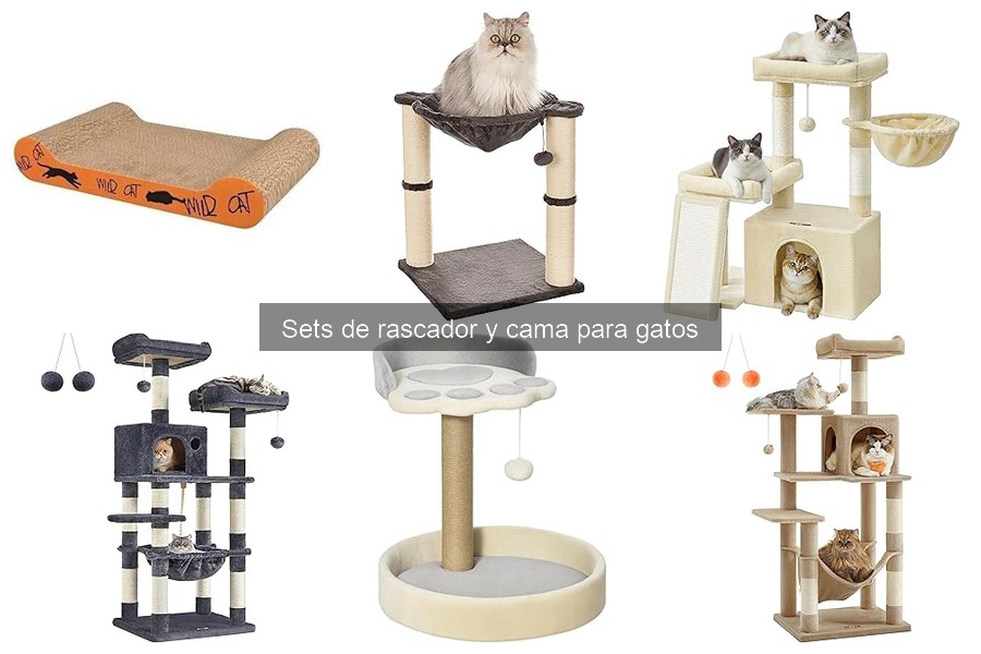 Comparativa de precios: sets de rascador y cama para gatos