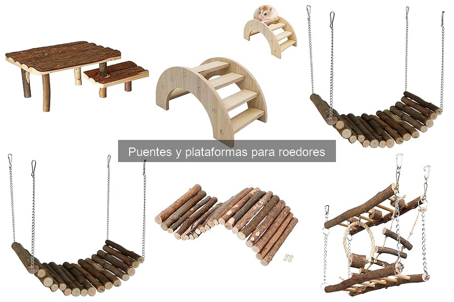 Comparativa de puentes para roedores: Trixie y más