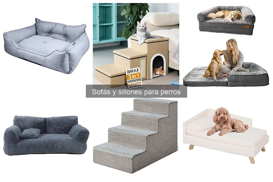Comparativa de sofás para perros: marcas y precios