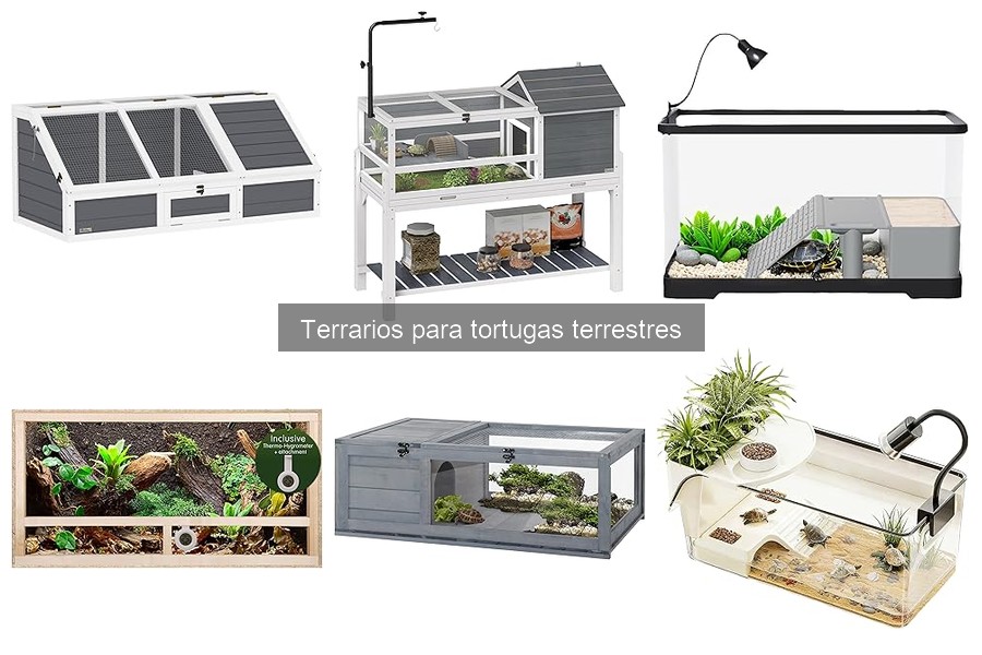 Comparativa de terrarios de vidrio vs plástico para tortugas