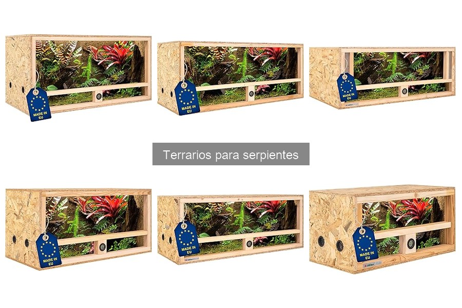 Comparativa de Terrarios para Serpientes: Mejores Opciones