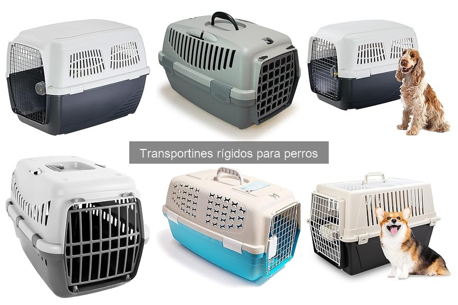 Comparativa de Transportines Rígidos y Blandos para Perros