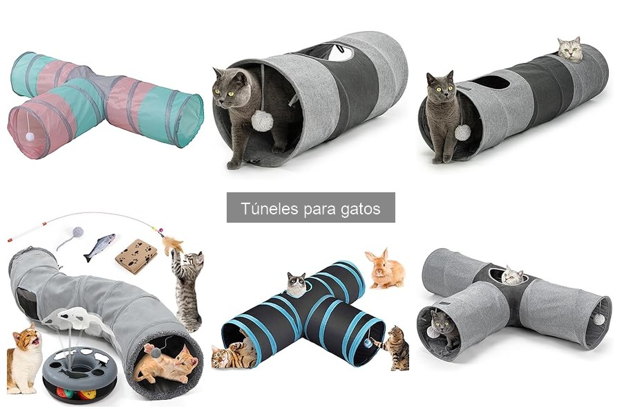 Comparativa de túneles para gatos: análisis y precios