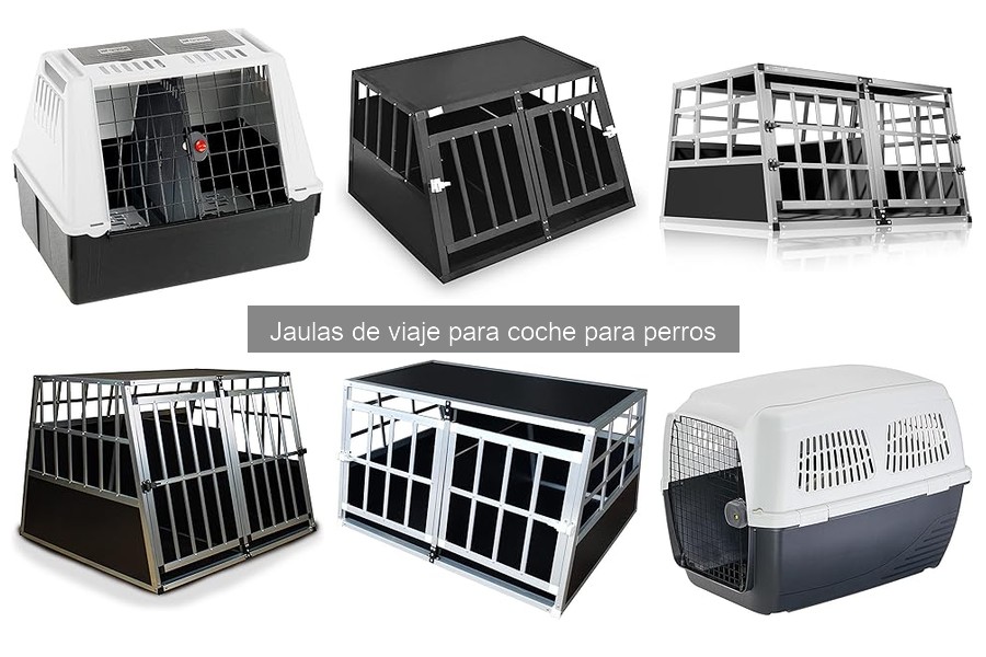 Comparativa: Jaulas de viaje vs Transportines para perros