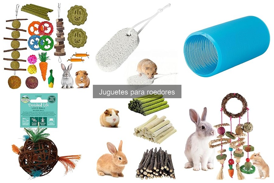 Comparativa: Juguetes de Madera vs. Plástico para Roedores