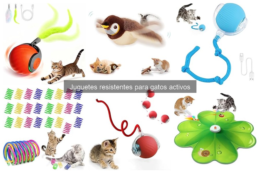 Comparativa: Juguetes Interactivos vs. Tradicionales para Gatos