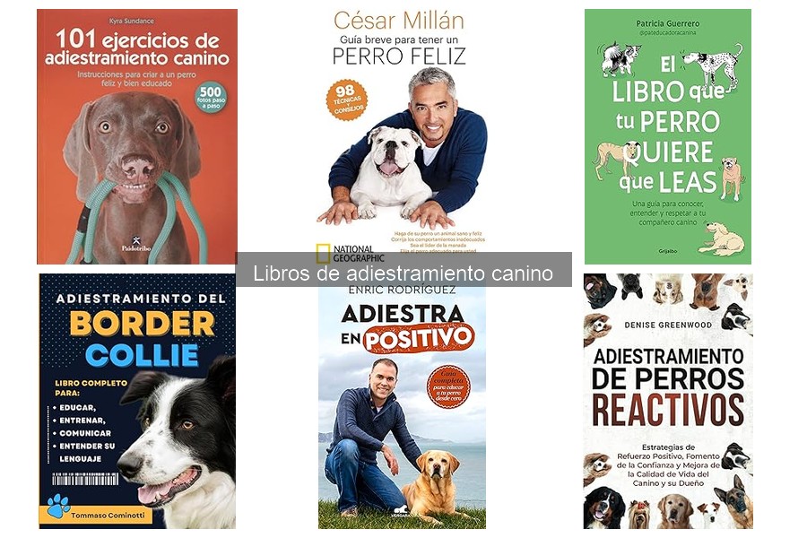 Comparativa: Libros de Adiestramiento Canino vs Recursos Online