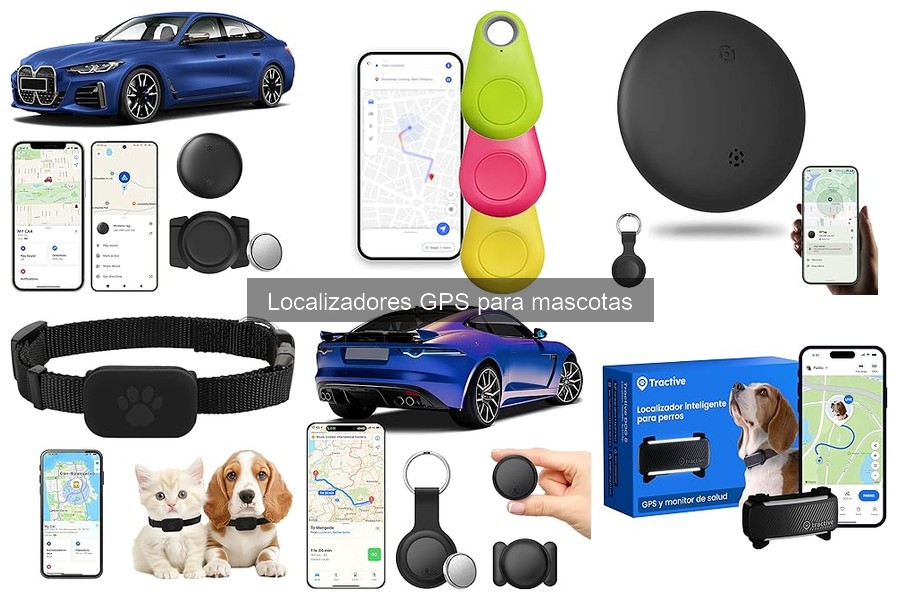 Comparativa: Localizadores GPS vs Microchips para Mascotas