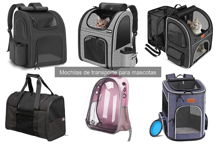 Comparativa: Mochilas blandas vs rígidas para mascotas