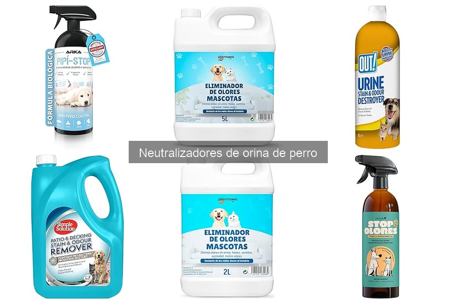 Comparativa: Neutralizadores de orina enzimáticos vs químicos