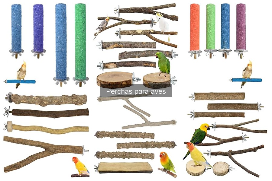 Comparativa: Perchas de Madera vs. Perchas de Plástico