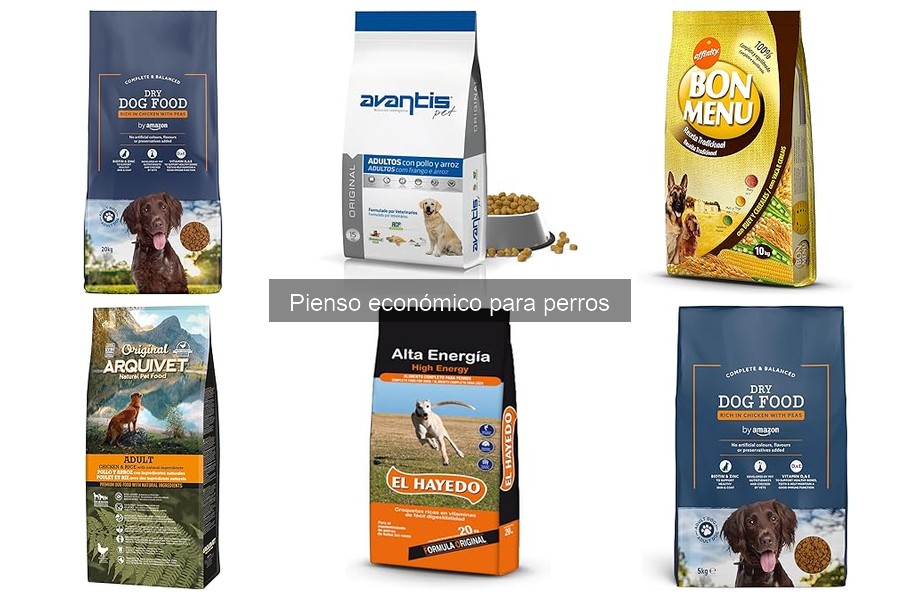 Comparativa: Pienso Económico vs. Premium para Perros