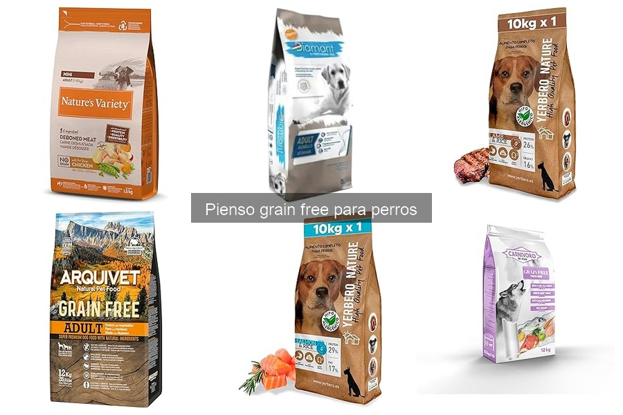 Comparativa: Pienso Grain Free vs Con Granos para Perros