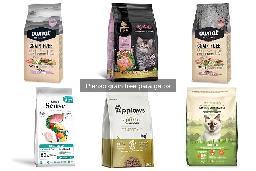 Comparativa: Pienso Grain Free vs Tradicional para Gatos