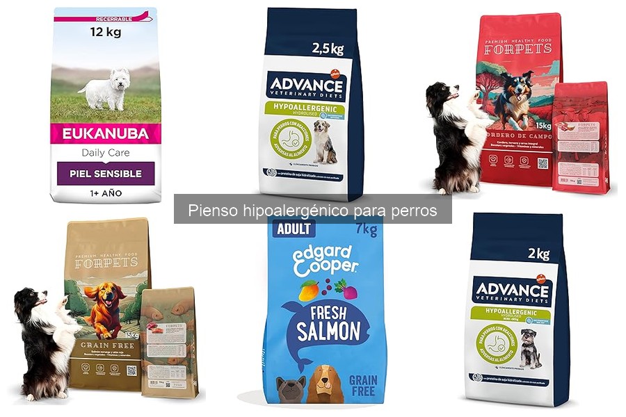 Comparativa: Pienso Hipoalergénico vs. Convencional para Perros