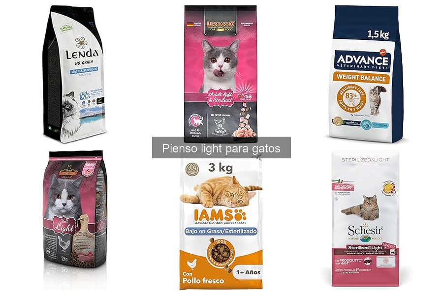 Comparativa: Pienso light hipoalergénico vs normal para gatos