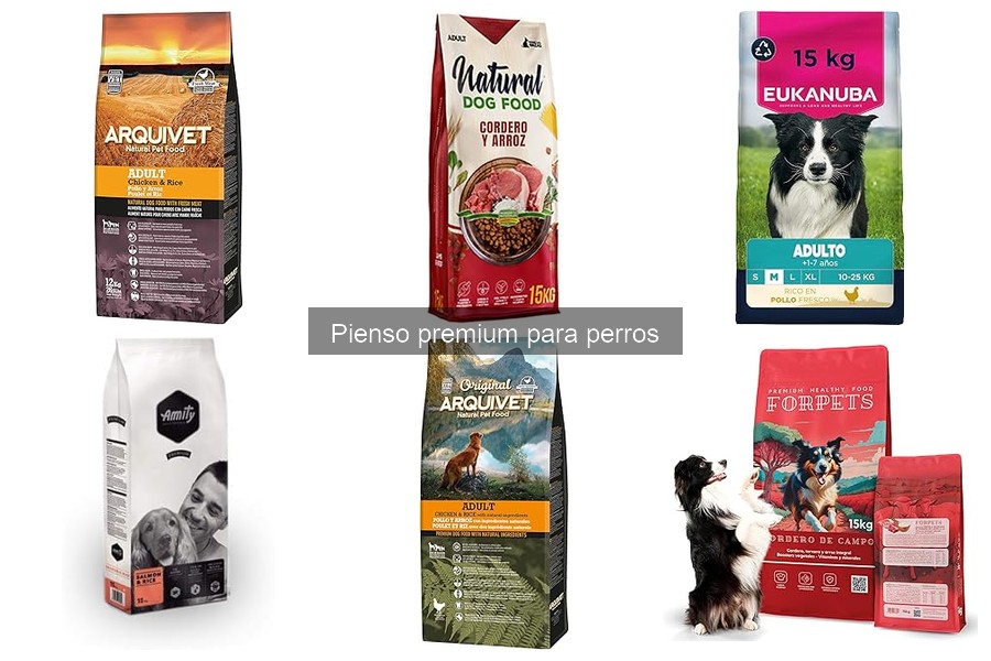 Comparativa: Pienso Premium vs. Económico para Perros