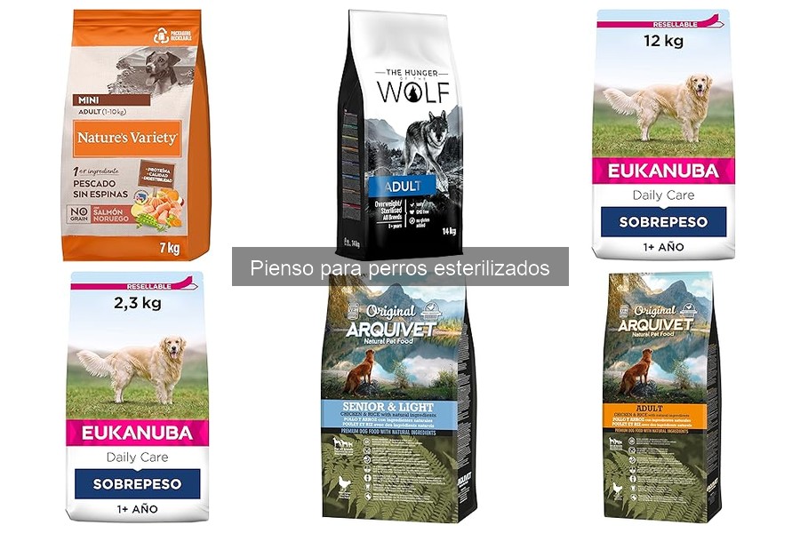 Comparativa: Pienso seco vs húmedo para perros esterilizados
