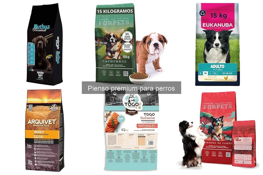 Comparativa: Pienso seco vs húmedo premium para perros