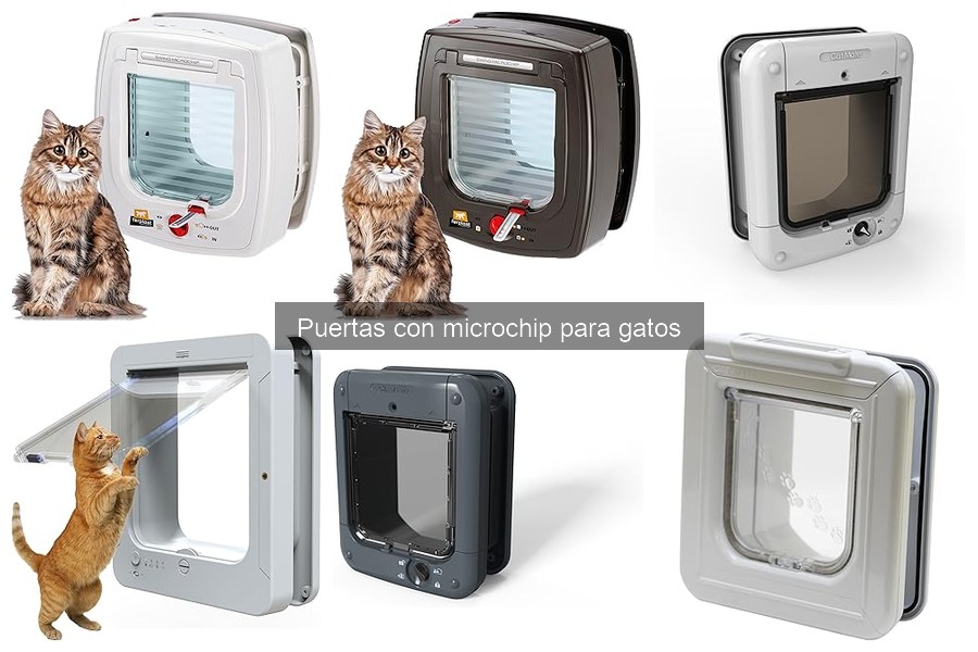 Comparativa: Puertas con Microchip vs. Tradicionales para Gatos