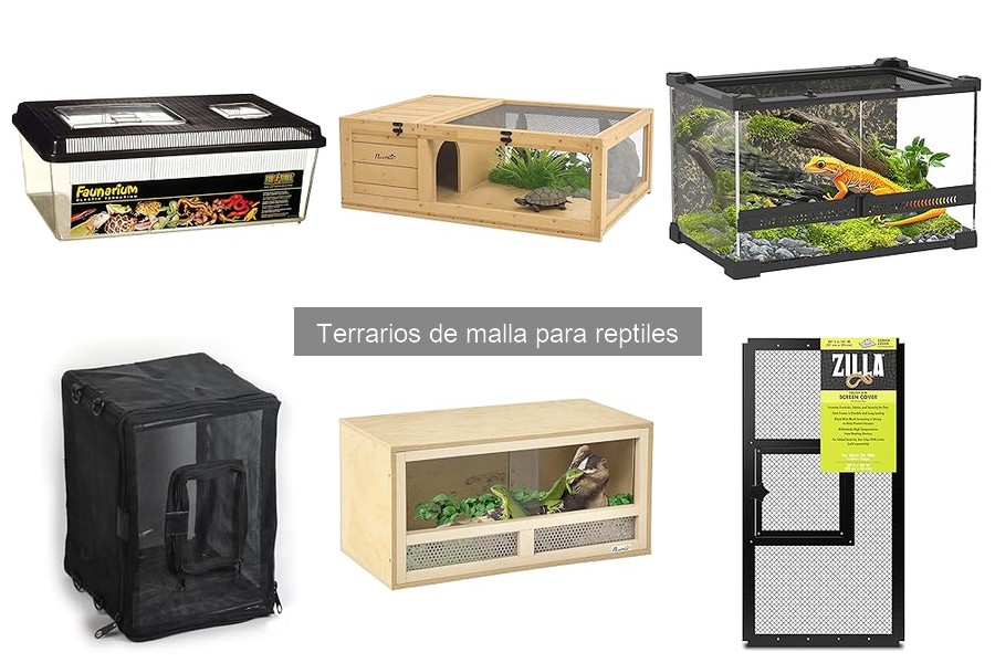 Comparativa: Terrarios de Malla vs. Vidrio para Reptiles