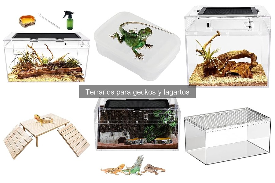 Comparativa: Terrarios de vidrio vs. plástico para geckos y lagartos