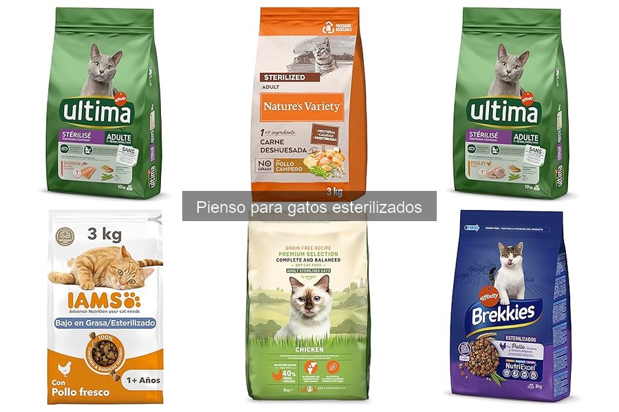 Componentes Esenciales del Pienso para Gatos Esterilizados
