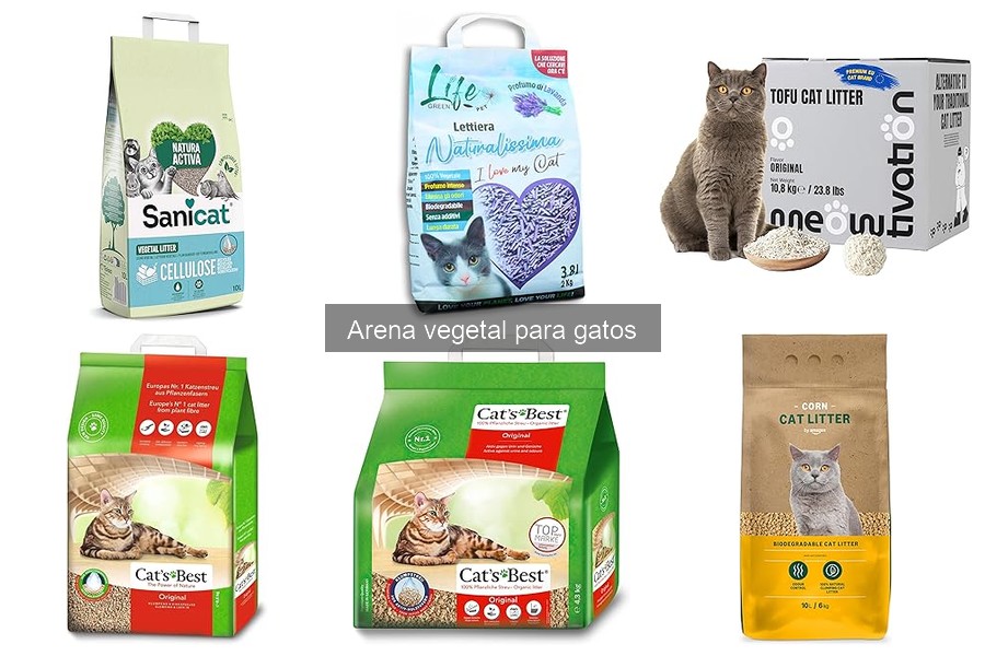 Compra arena vegetal para gatos al mejor precio aquí