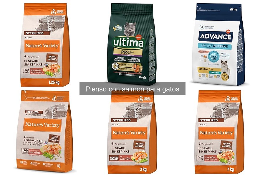 Compra pienso de salmón para gatos al mejor precio