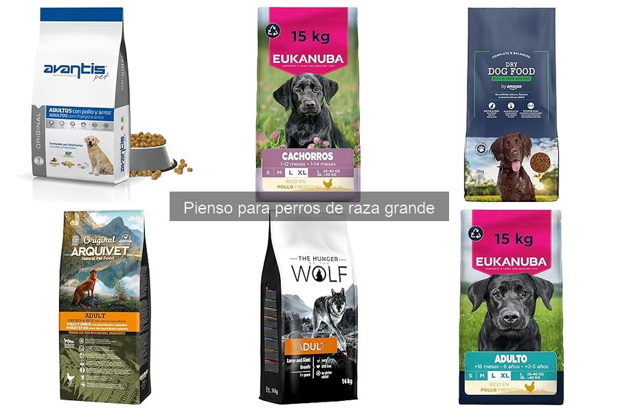 Compra pienso para perros grandes al mejor precio