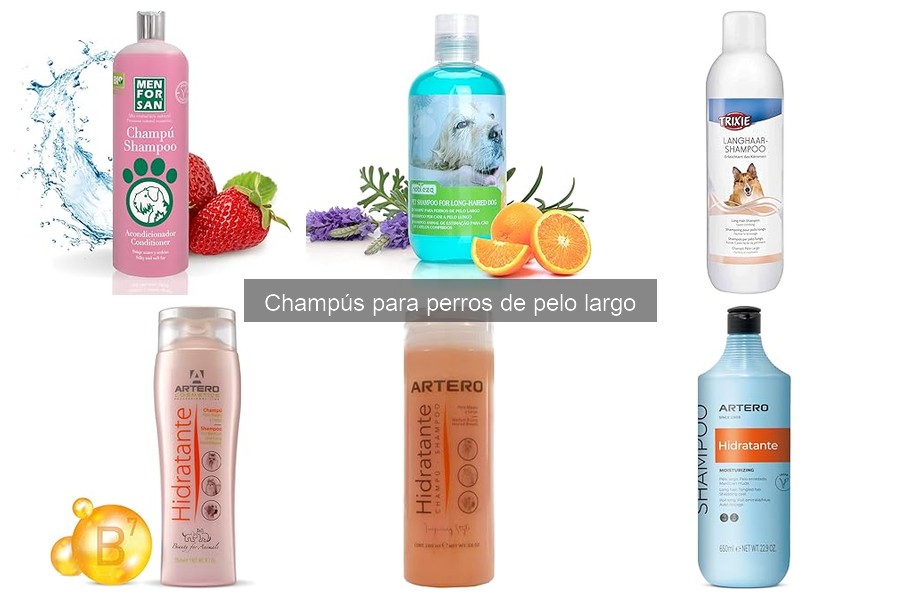 ¿Con qué frecuencia debo bañar a mi perro de pelo largo?