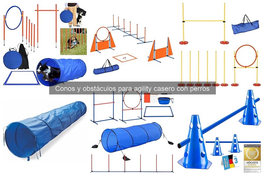Conos y obstáculos para agility: ¿Qué son y sus beneficios?