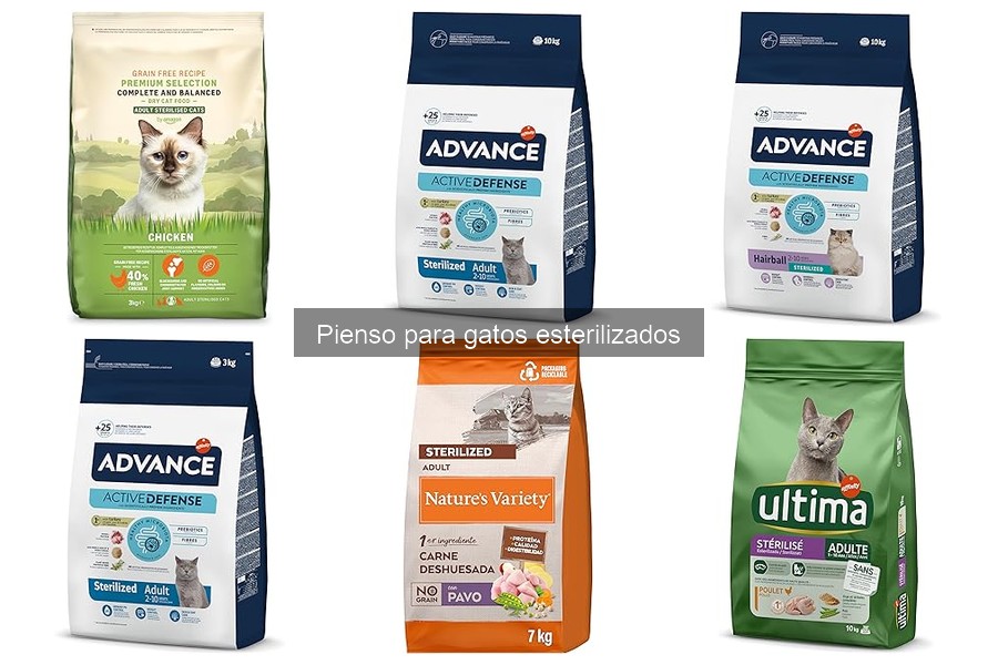 Consecuencias de no usar pienso para gatos esterilizados