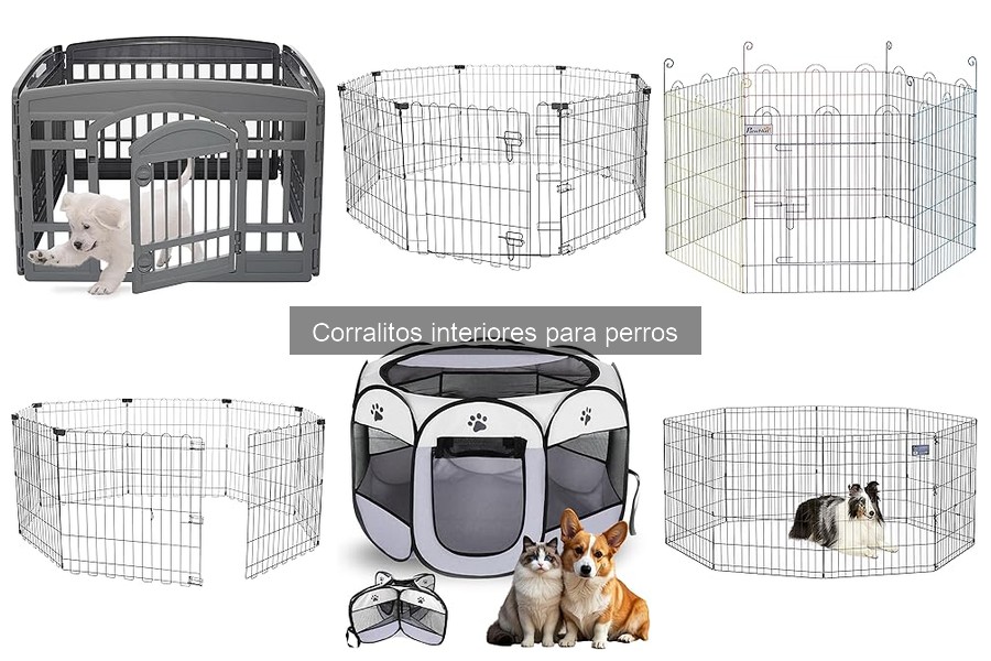 Consejos de Mantenimiento para Corralitos Interiores de Perros