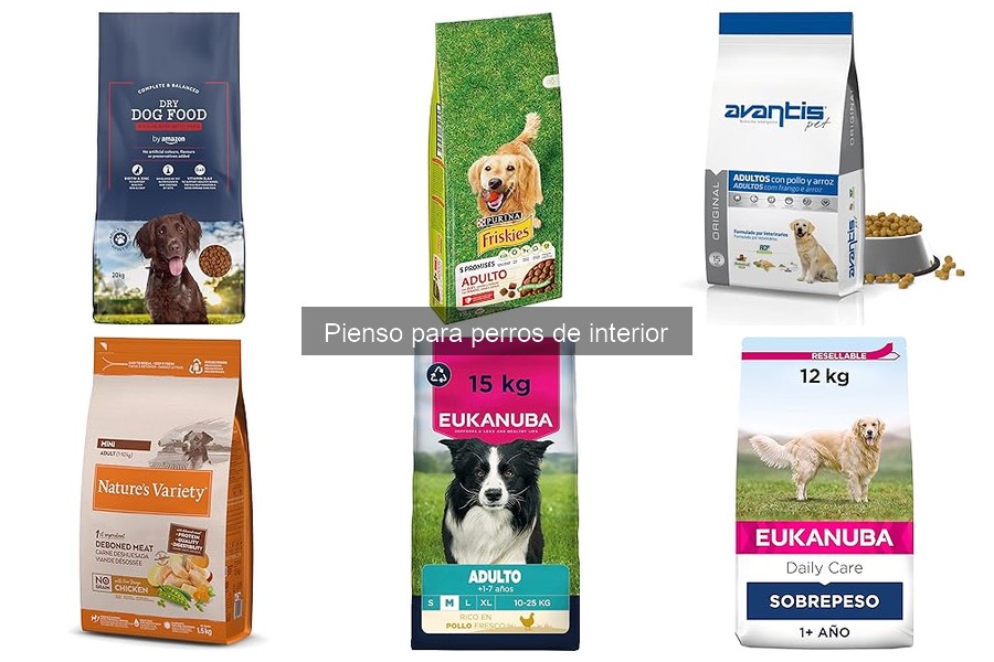 Consejos para Almacenar el Pienso para Perros de Interior