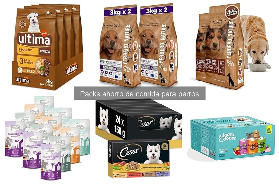 Consejos para Almacenar Packs de Comida para Perros