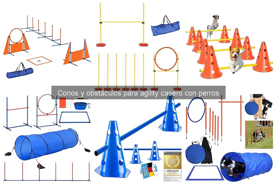 Consejos para Cuidar Obstáculos Agility para Perros