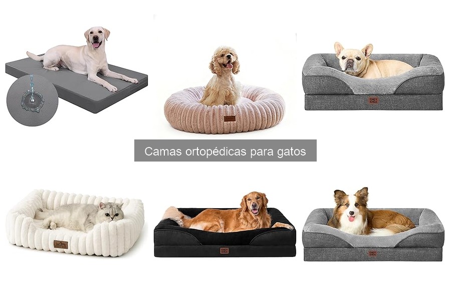 Consejos para el Mantenimiento de Camas Ortopédicas para Gatos