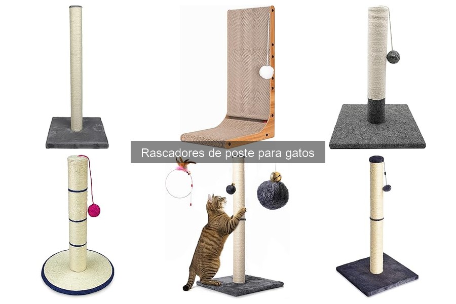 Consejos para el mantenimiento de rascadores de poste para gatos