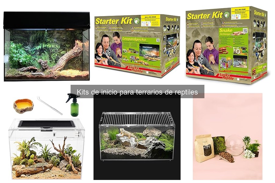 Consejos para el Mantenimiento de Terrarios de Reptiles