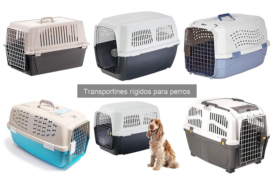 Consejos para el Mantenimiento de Transportines Rígidos para Perros