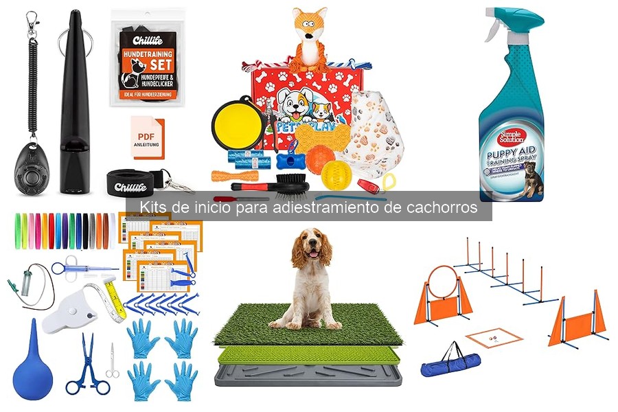 Consejos para Elegir el Mejor Kit de Adiestramiento de Cachorros