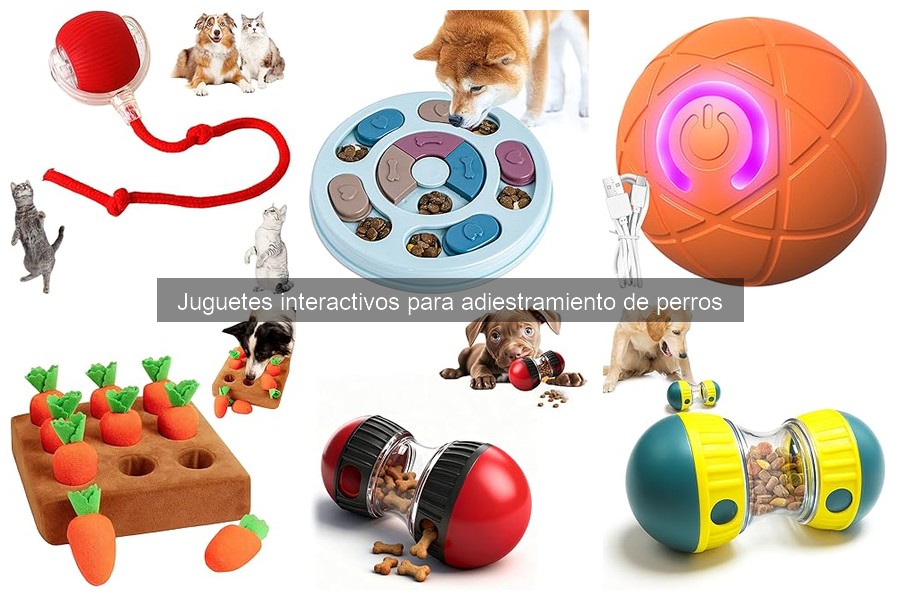 Consejos para Elegir Juguetes Interactivos para Perros