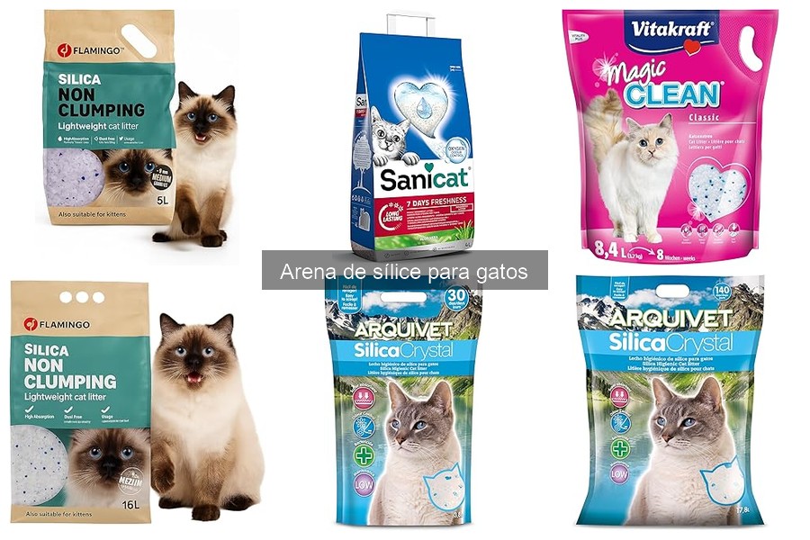 Consejos para elegir la mejor arena de sílice para gatos