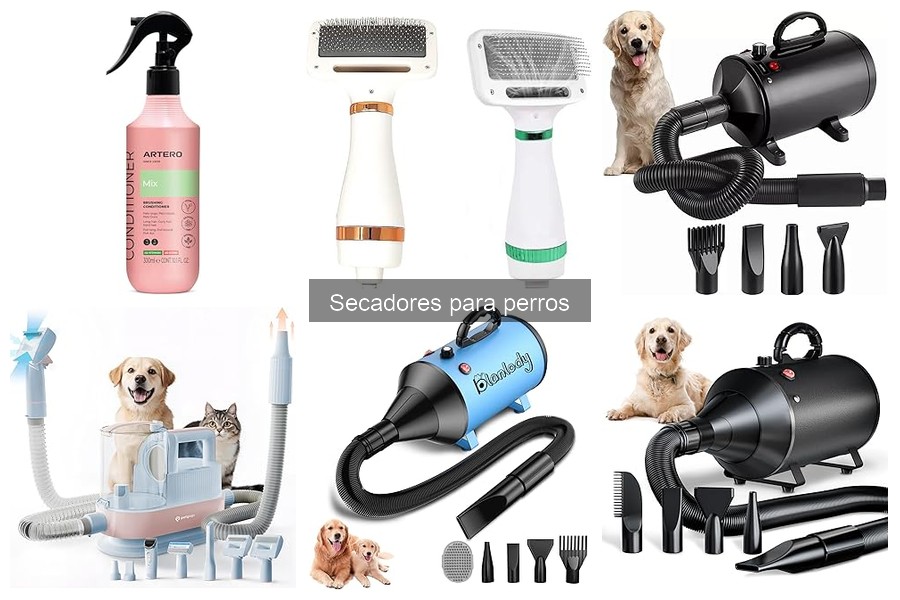 Consejos para Elegir Secador según el Pelaje de tu Perro