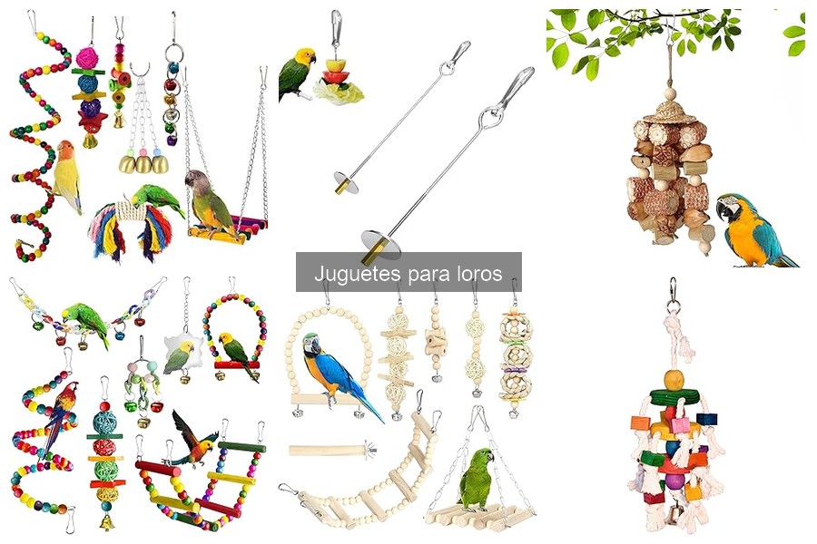 Consejos para Introducir Nuevos Juguetes a tu Loro