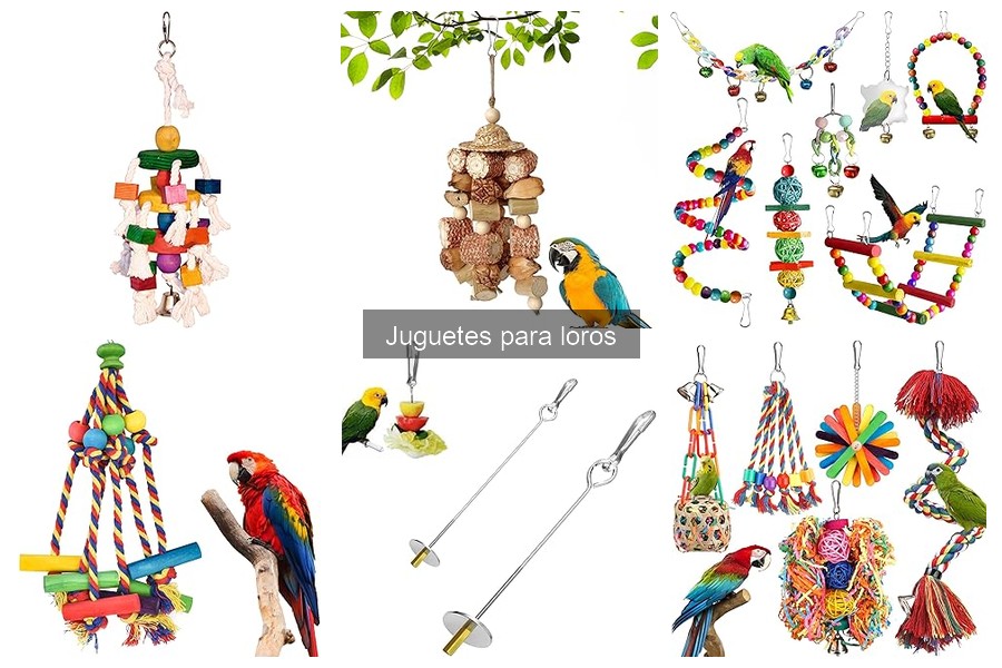 Consejos para mantener los juguetes de tu loro seguros y duraderos
