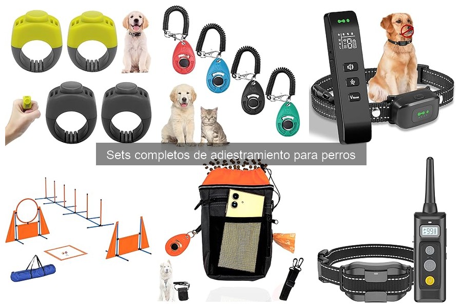 Consejos para Mantener un Set de Adiestramiento para Perros