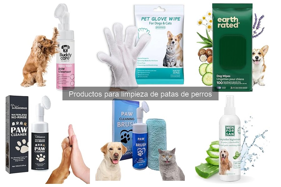 Consejos para Usar el Limpiapata con tu Perro