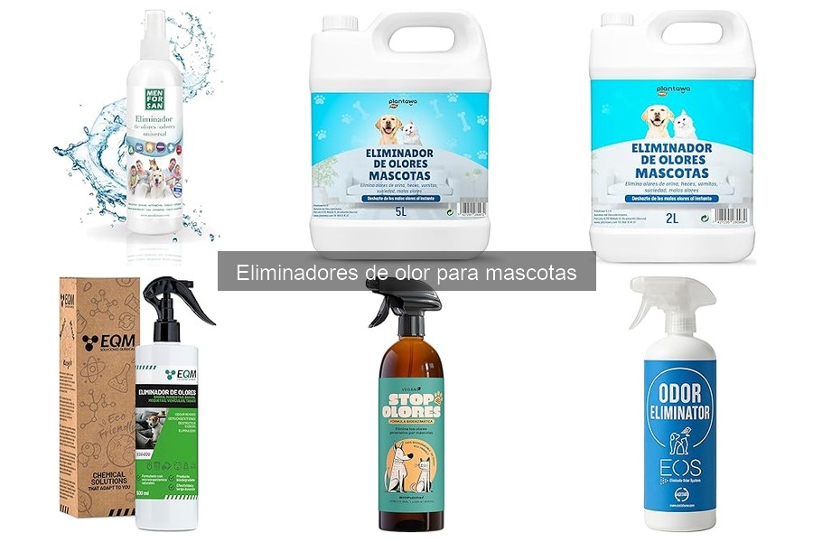 Consejos para usar eliminadores de olor para mascotas